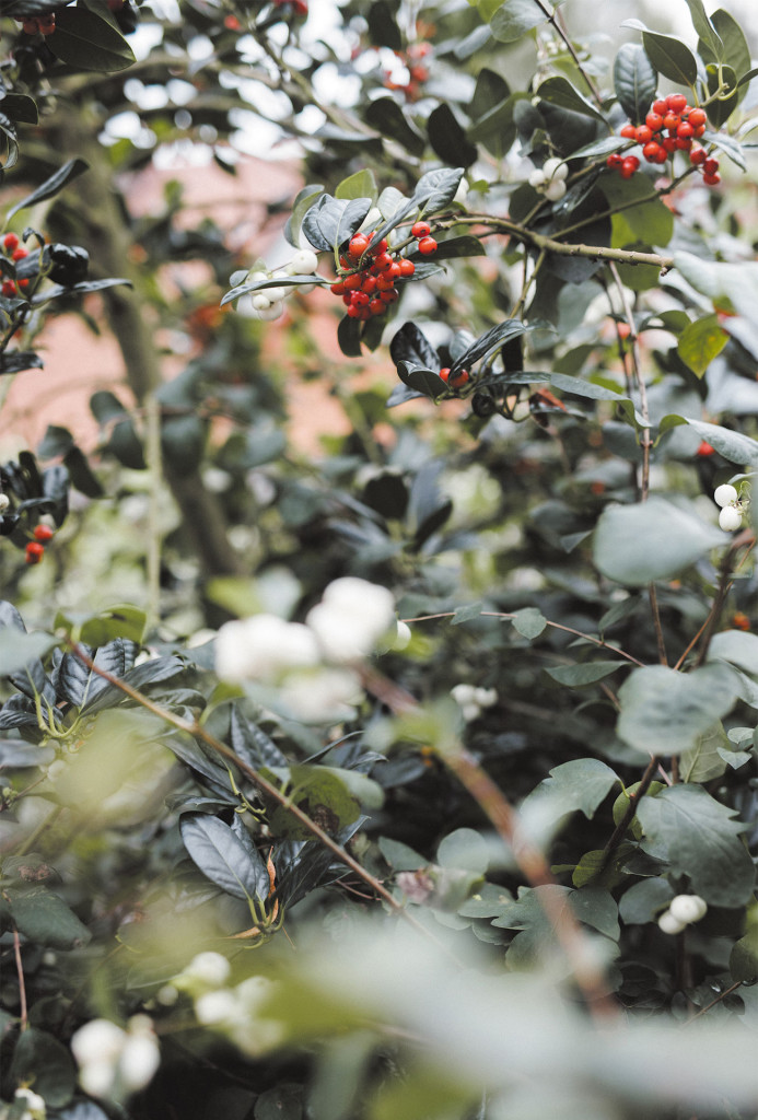 Viel Grün umgibt die Niessing-Manufaktur in Vreden