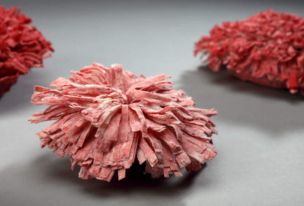 <em>Seenemone</em> wall object. Porcelain, Ø 12 cm. Photo Te-Hsin Chiu.