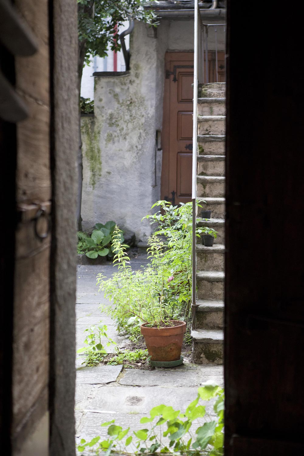 110_NatalieLuderfertig_MKuenzli_ArtAurea