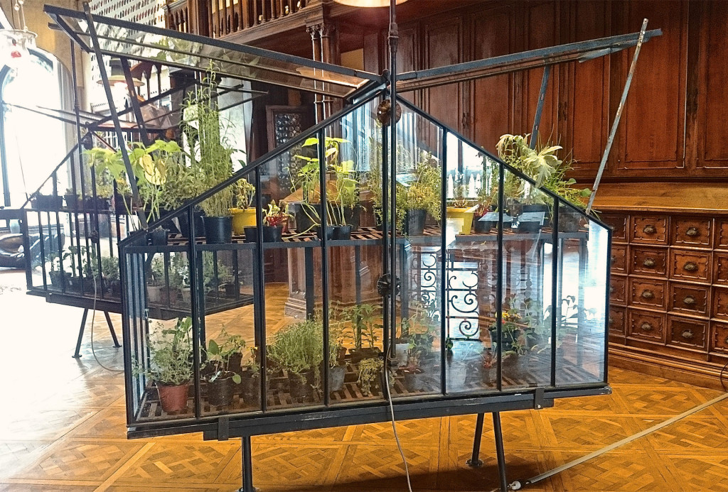 Auch dieses schöne Zimmergewachshaus ist im Palazzo Franchetti zu sehen