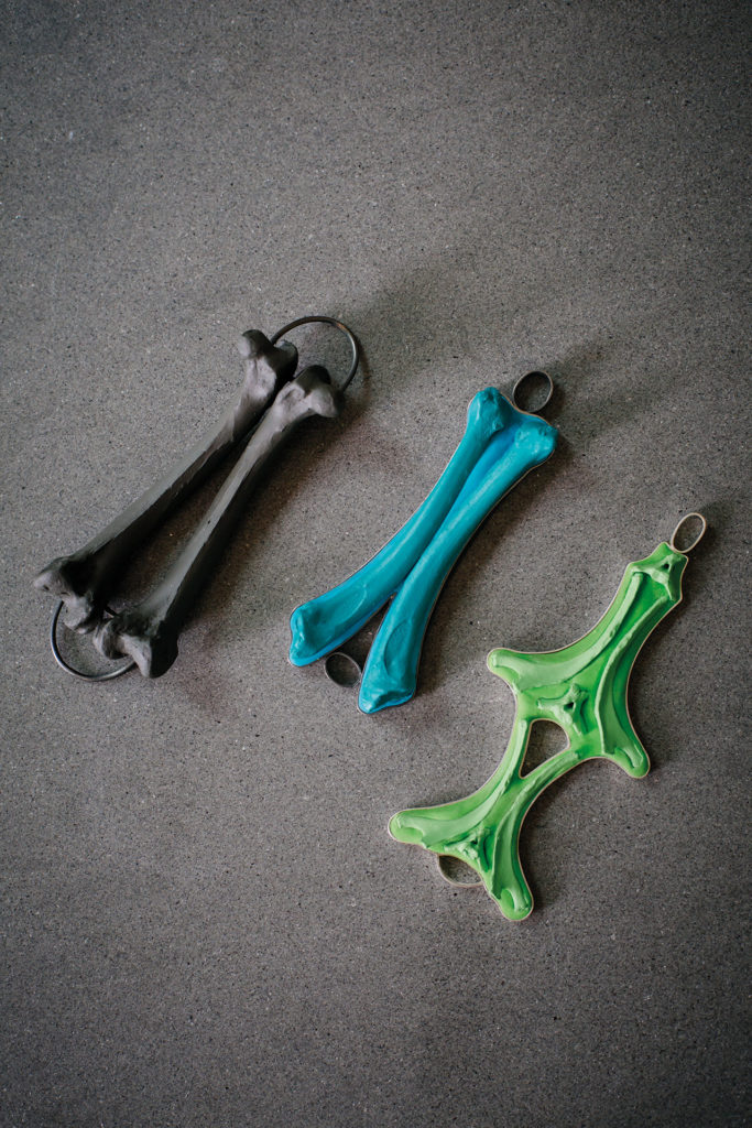 Anhängerserie <em>WunderDerNatur, Formenvielfalt und Symmetrien von Hühnerknochen</em>