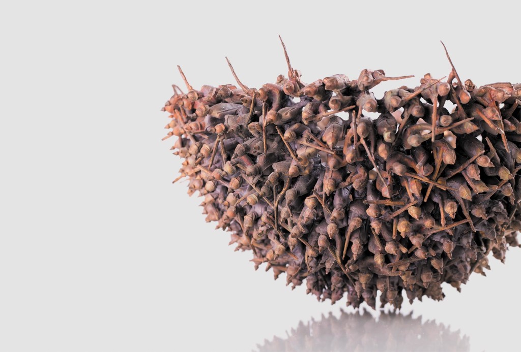 Schale von Theda Itzenga