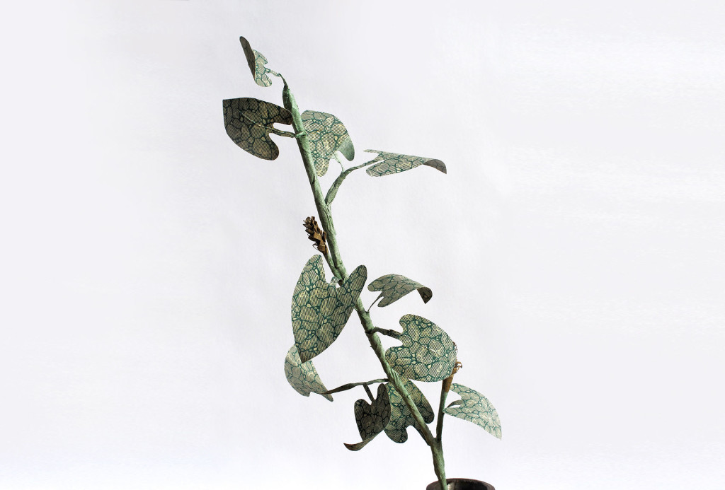 <em>Pfeffer</em> flower. Paper