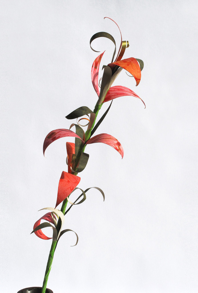 <em>Rosa Rute</em> flower. Paper