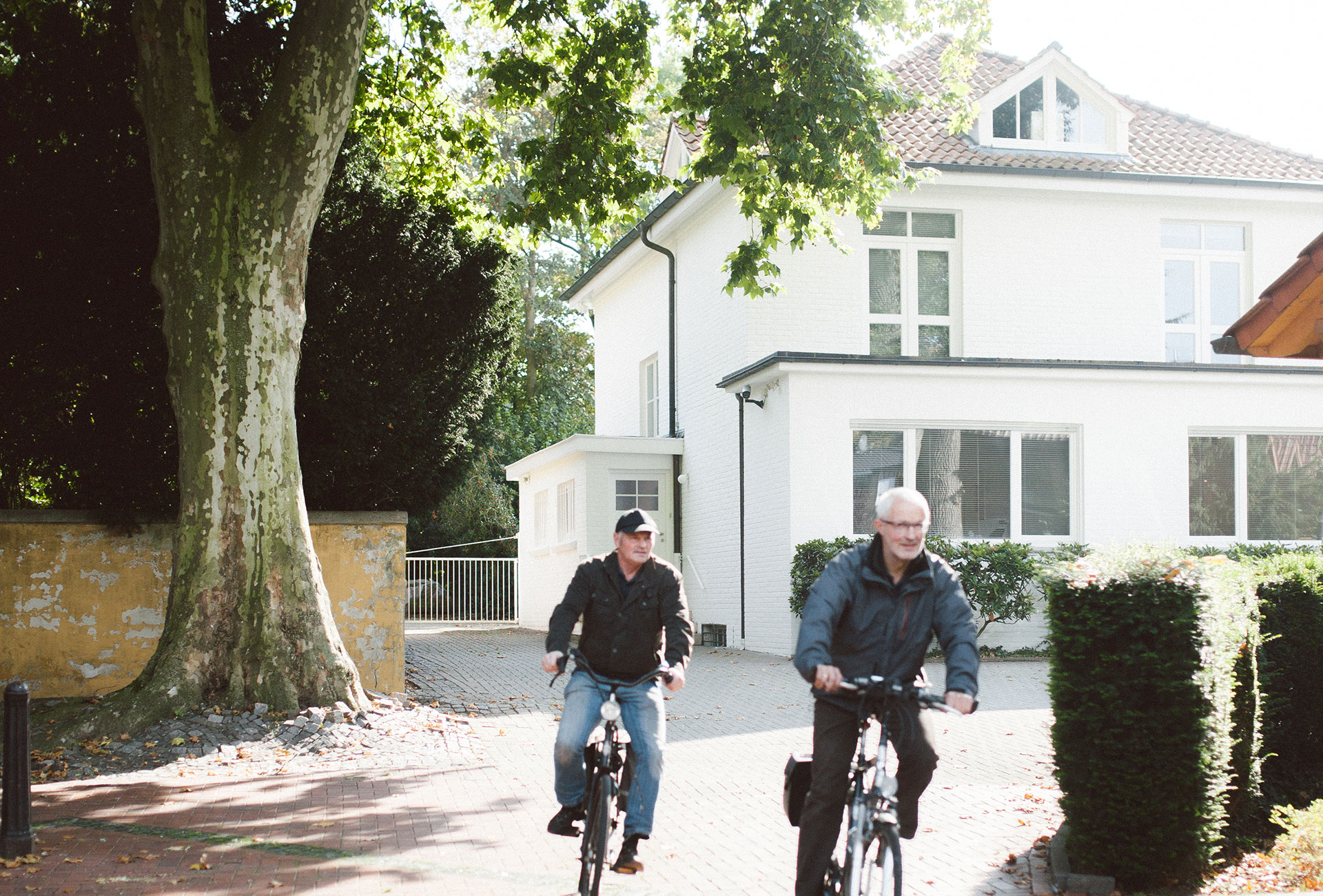 433__Niessing_Art_Aurea_