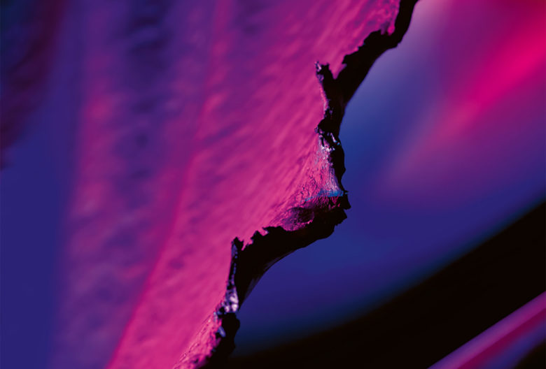 Manfred Zimmermann. Fotografie