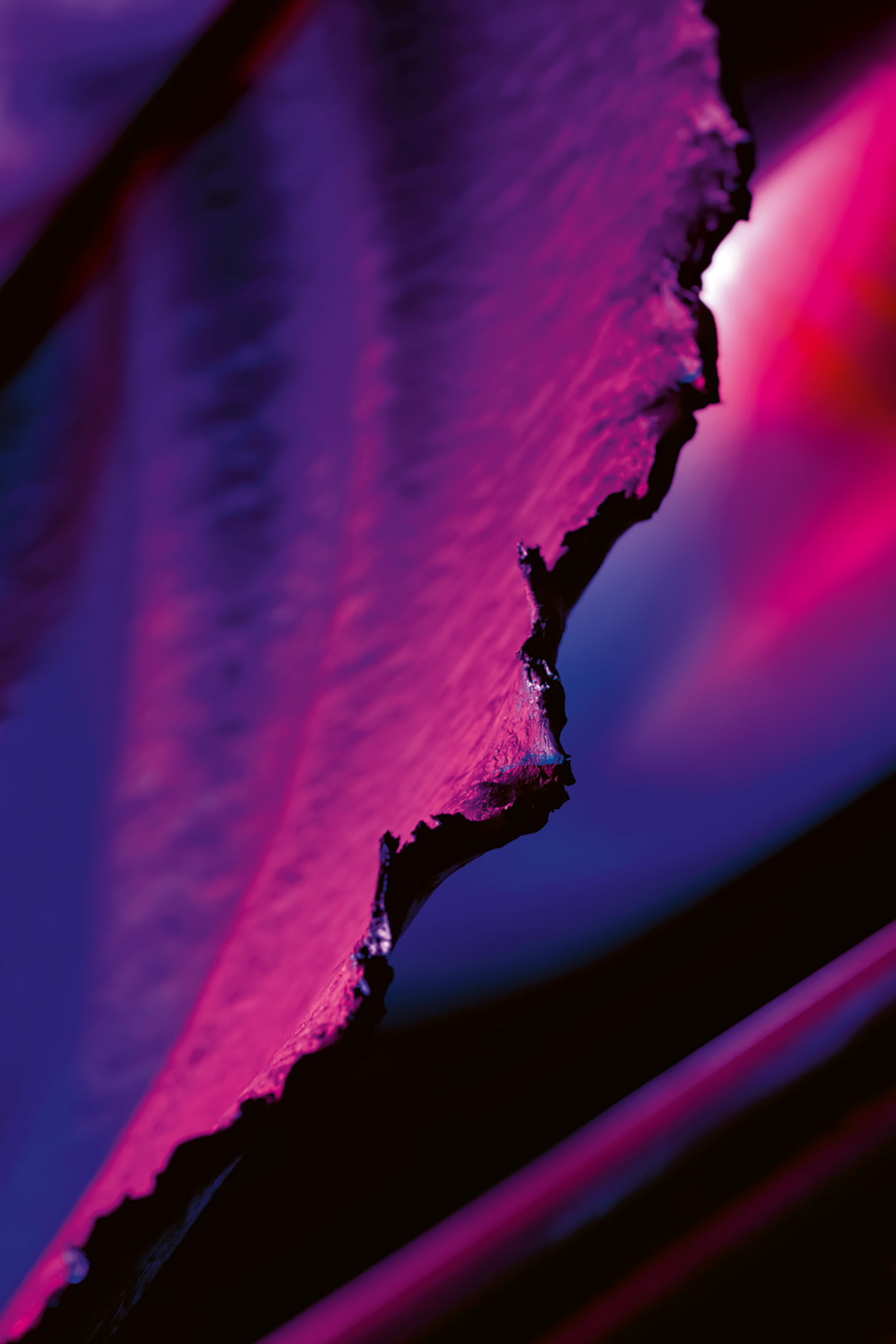 Lower Saxony State Award Winners