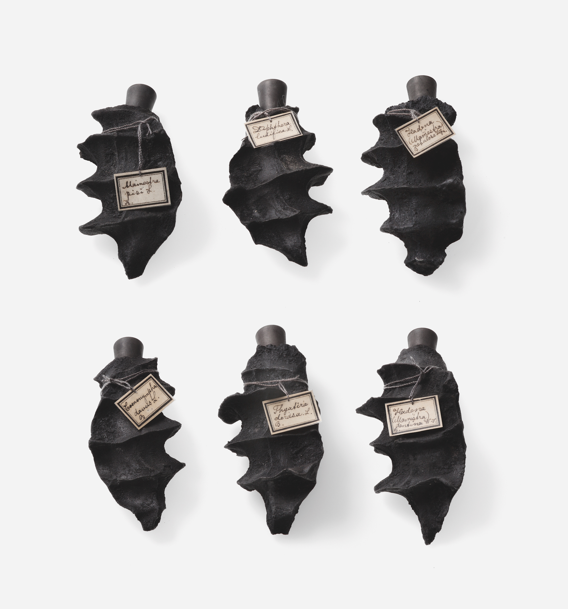 Iris Merkle, Objekt, Urne, Skulptur