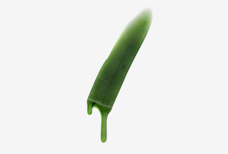 Herbert-Hofmann-Preise 2018