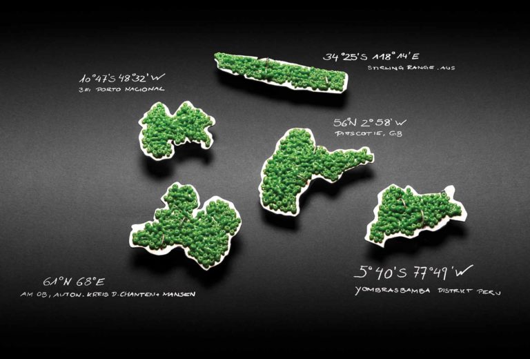 Alkie Osterland, Broschen <em>Wälder</em>. Silber 925 und Glas