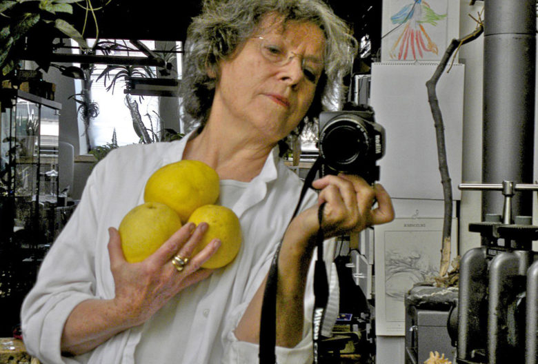 Die 2017 in Wien verstorbene Elisabeth J. Gu. Defner. Selbstportrait.