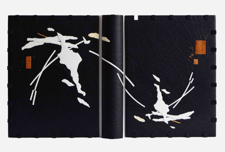 Bucheinband von Andreas Bormann, 2017. Ganzlederband mit Kassette. <em>Les Métamorphoses</em> von Ovid, Illustrationen von Pablo Picasso, Verkaufspreis 2.500 Euro.