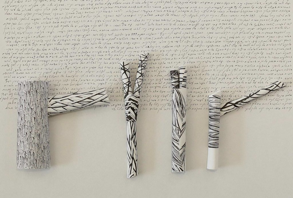 Vered Babaï, Galerie La Perle Noire