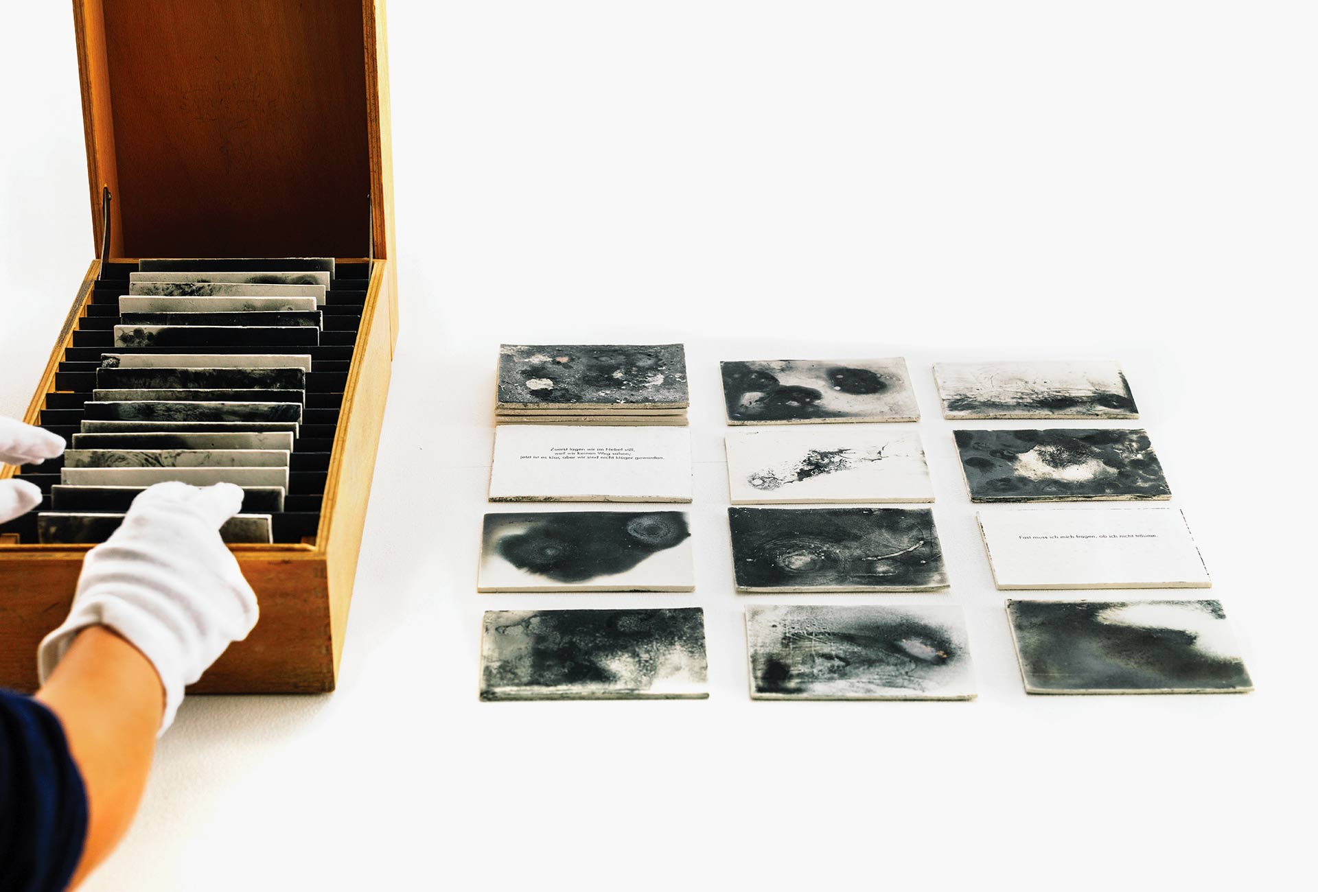 Catherine Sanke, Talente