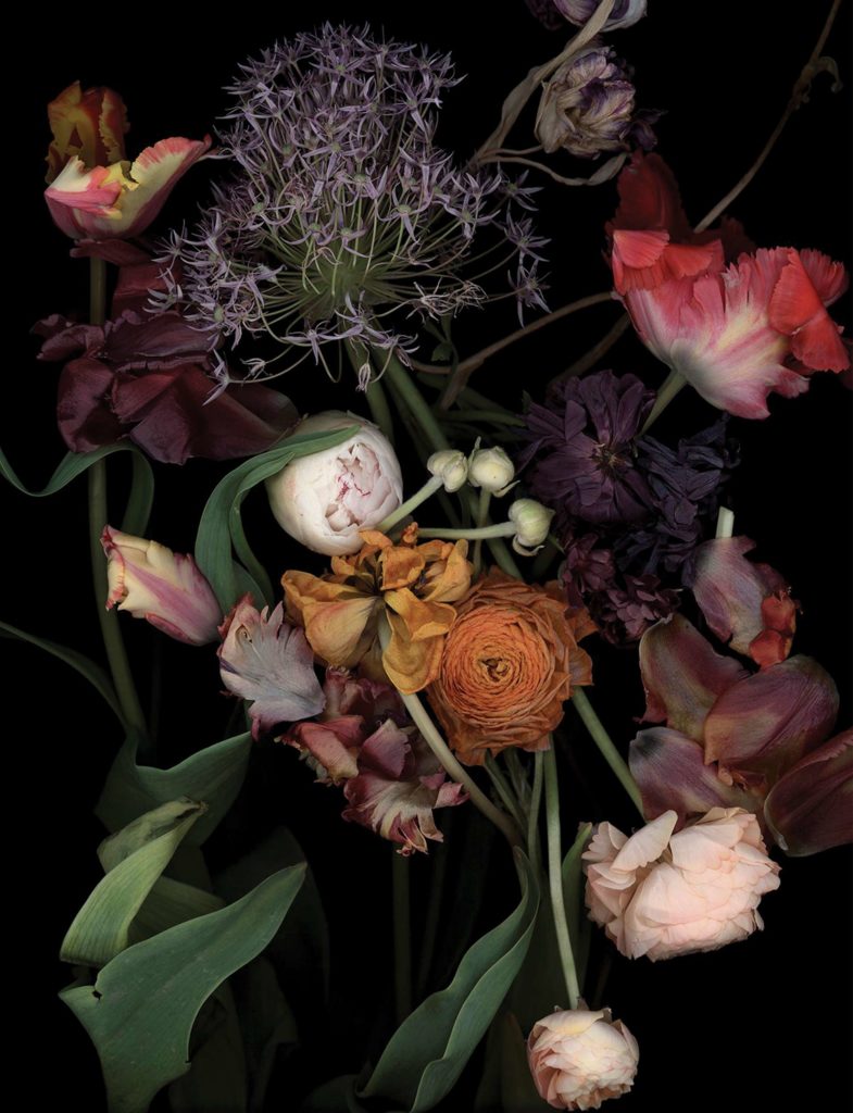 Luzia Simons, Cologne Fine Art